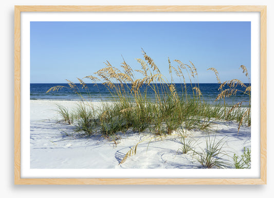 Sea grass