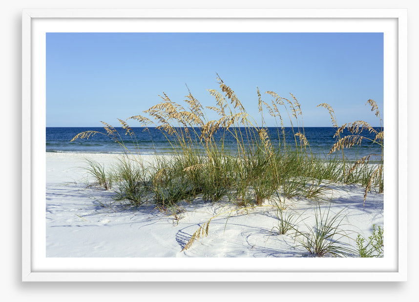 Sea grass