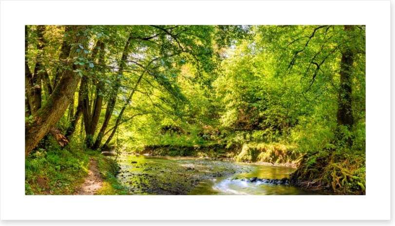 Babbling brook