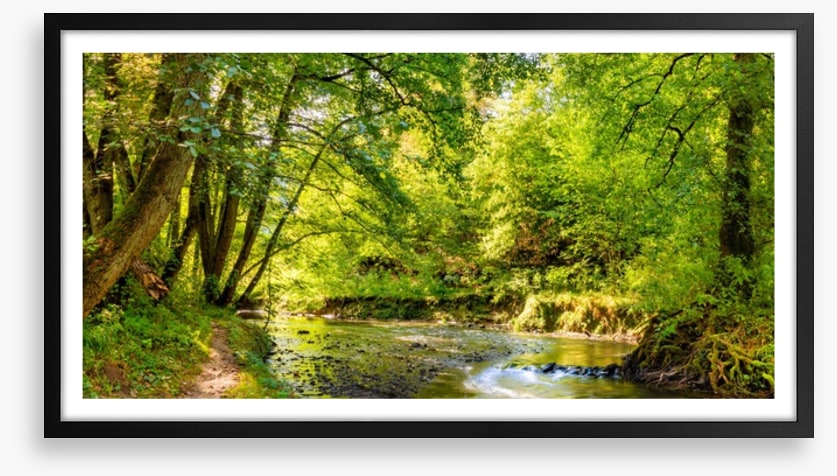 Babbling brook