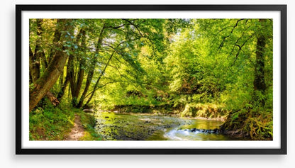 Babbling brook