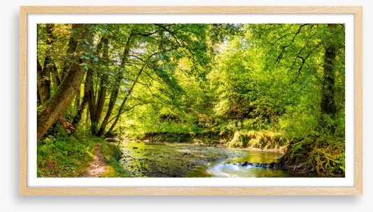 Babbling brook