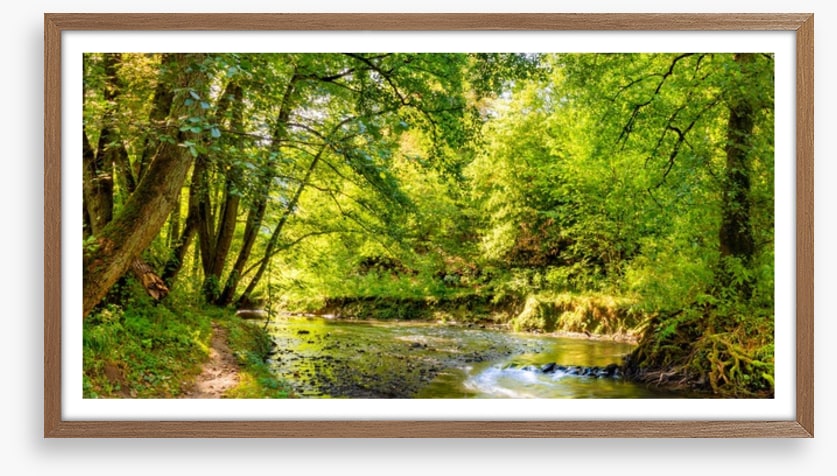 Babbling brook