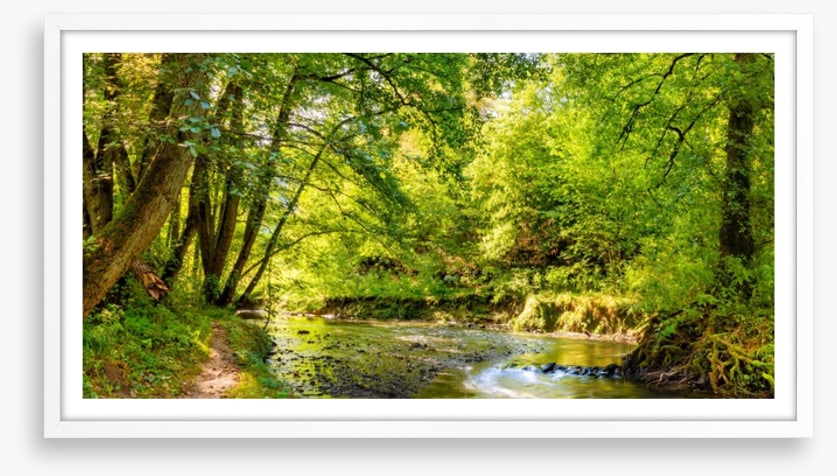 Babbling brook