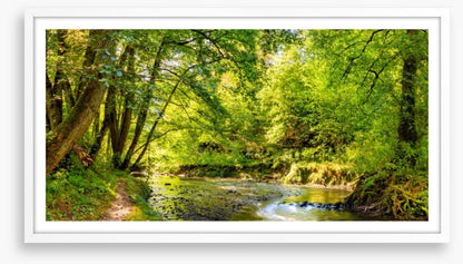Babbling brook