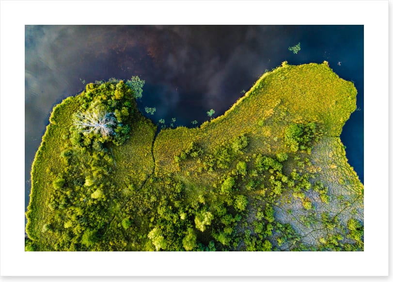 Land on the lake