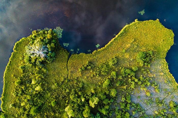 Land on the lake