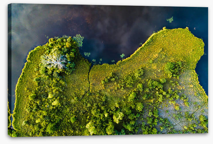 Land on the lake