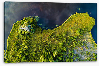 Land on the lake