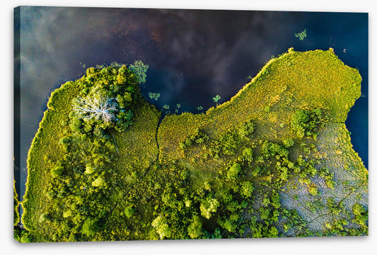Land on the lake