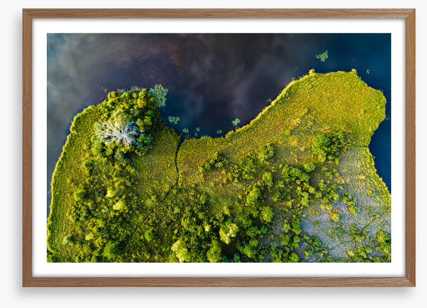 Land on the lake