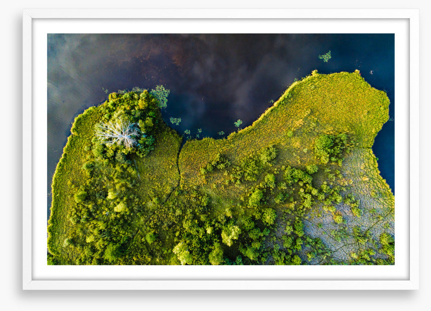 Land on the lake