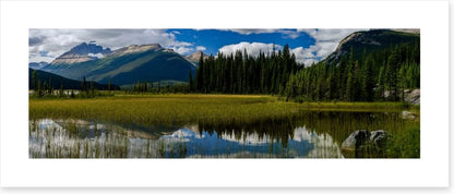 North America