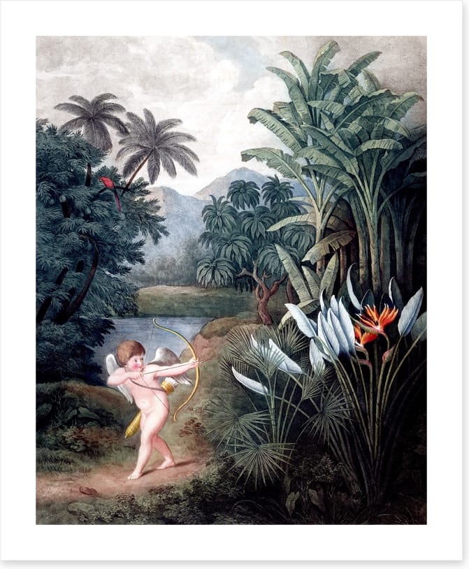 Cherub in the wilderness