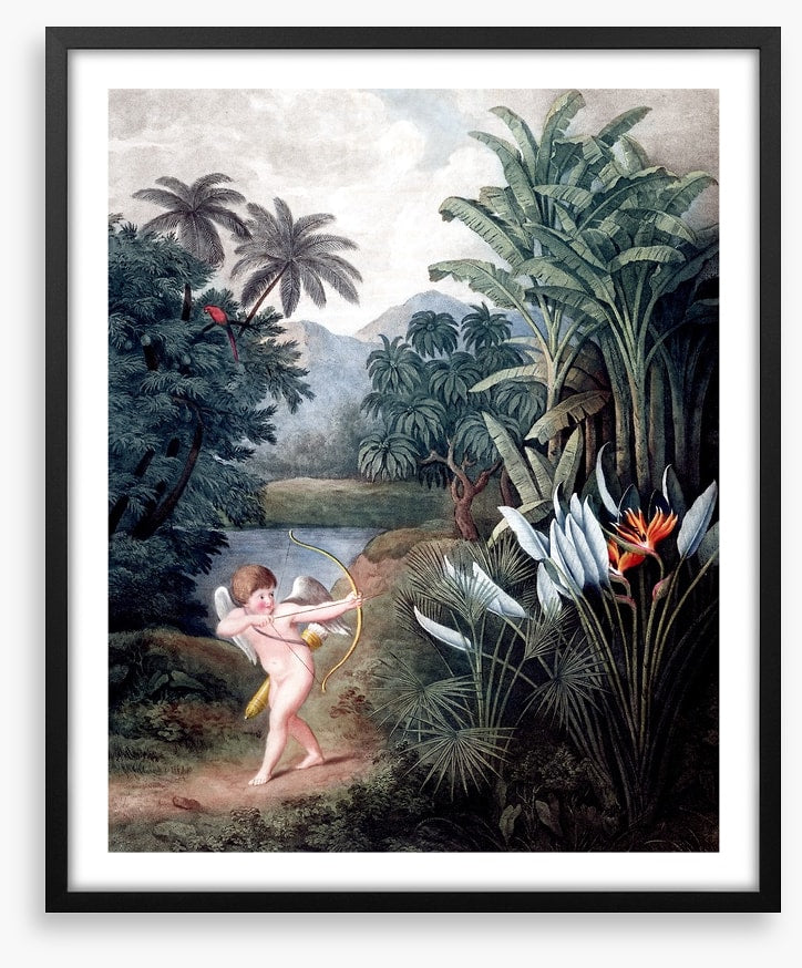 Cherub in the wilderness