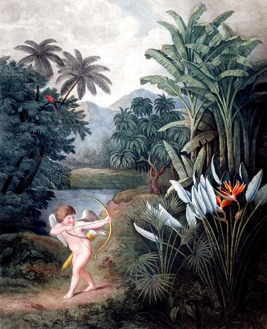 Cherub in the wilderness