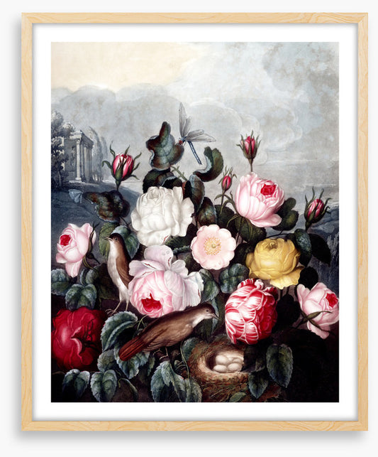 War of the roses