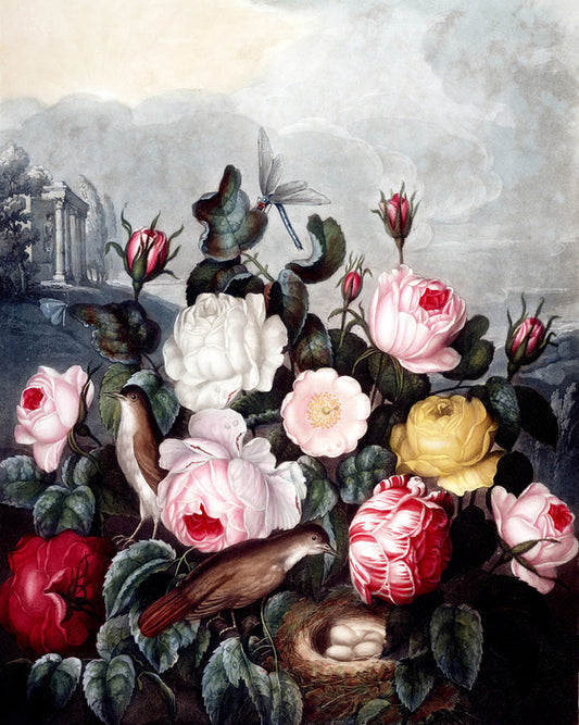 War of the roses