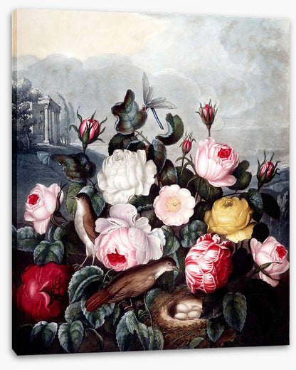 War of the roses