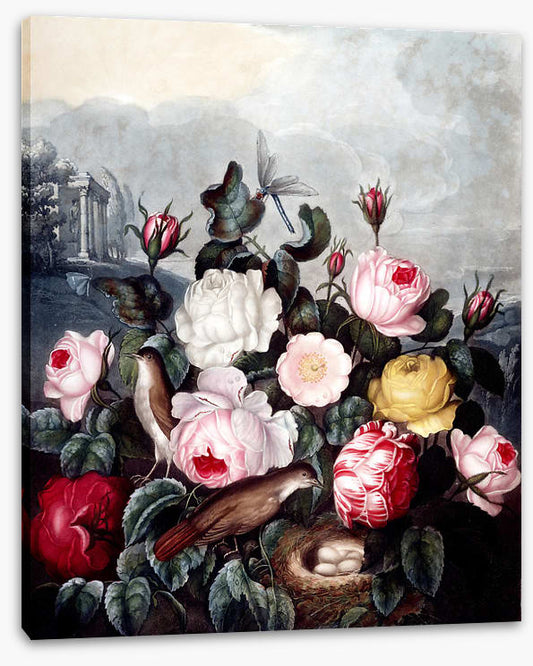 War of the roses
