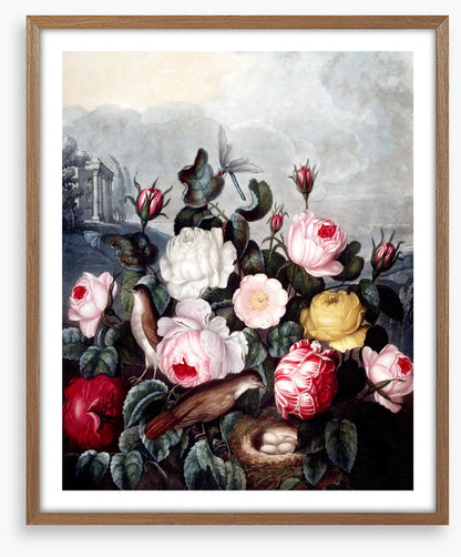 War of the roses