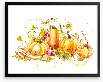 Pumpkin pumpkin