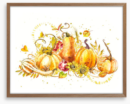 Pumpkin pumpkin