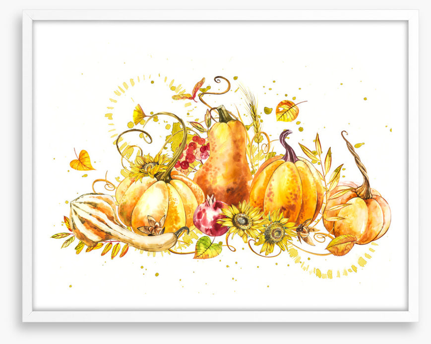Pumpkin pumpkin