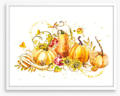 Pumpkin pumpkin