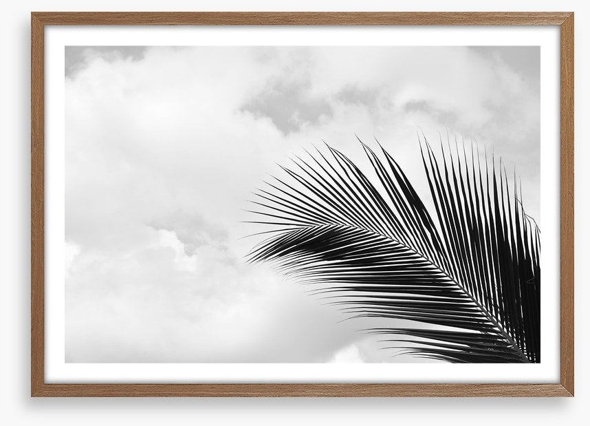 Palm leaf sky