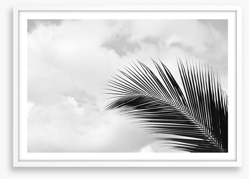 Palm leaf sky