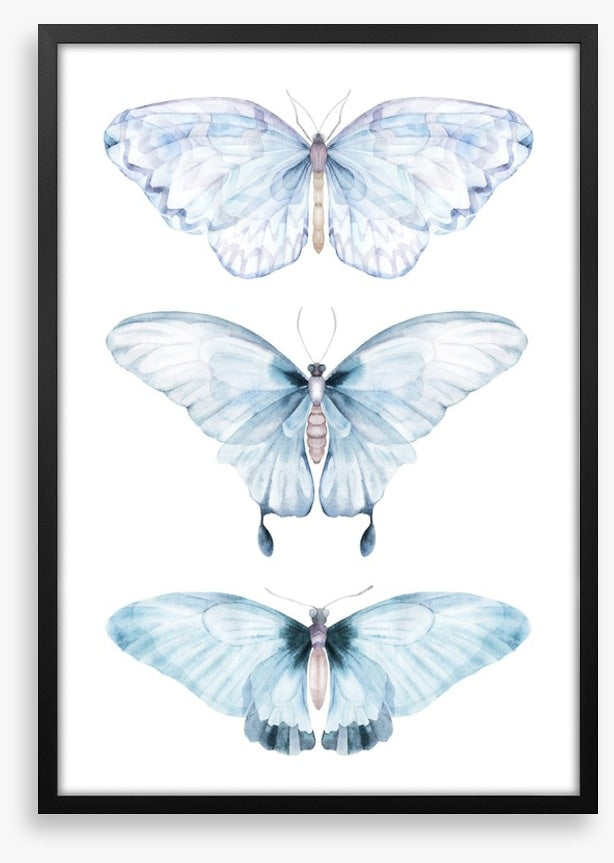Barely there butterflies