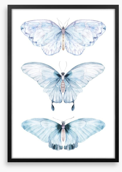 Barely there butterflies