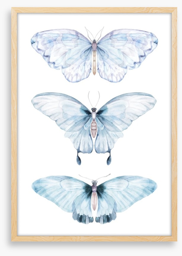 Barely there butterflies