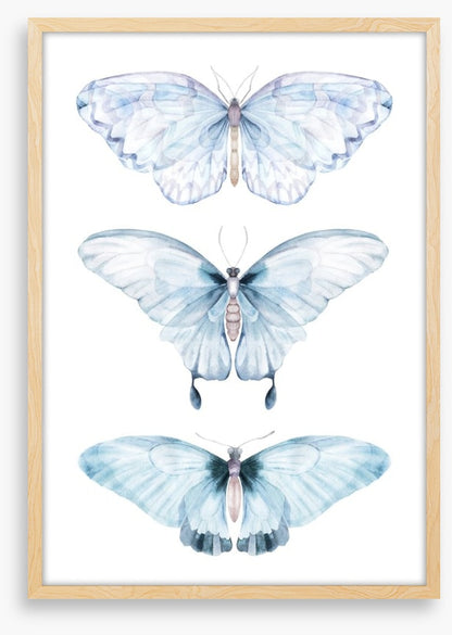 Barely there butterflies