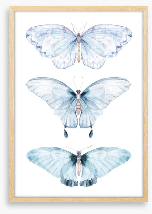 Barely there butterflies