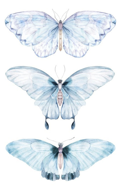 Barely there butterflies