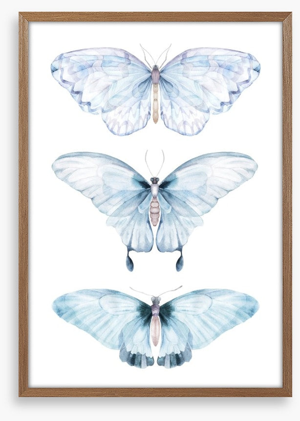 Barely there butterflies