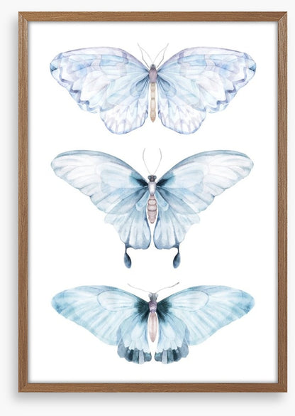 Barely there butterflies