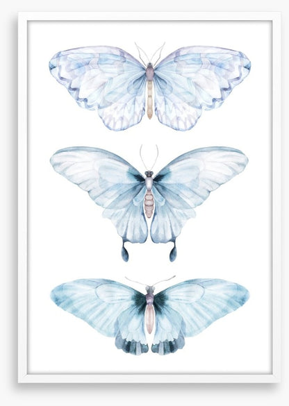 Barely there butterflies