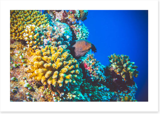 Underwater