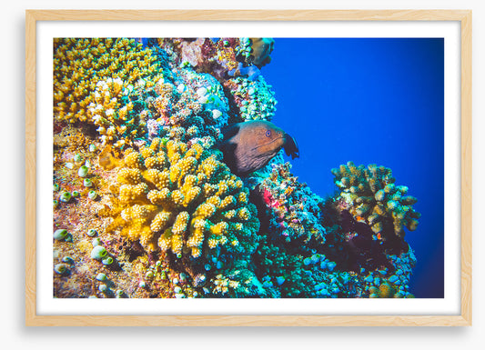 Underwater