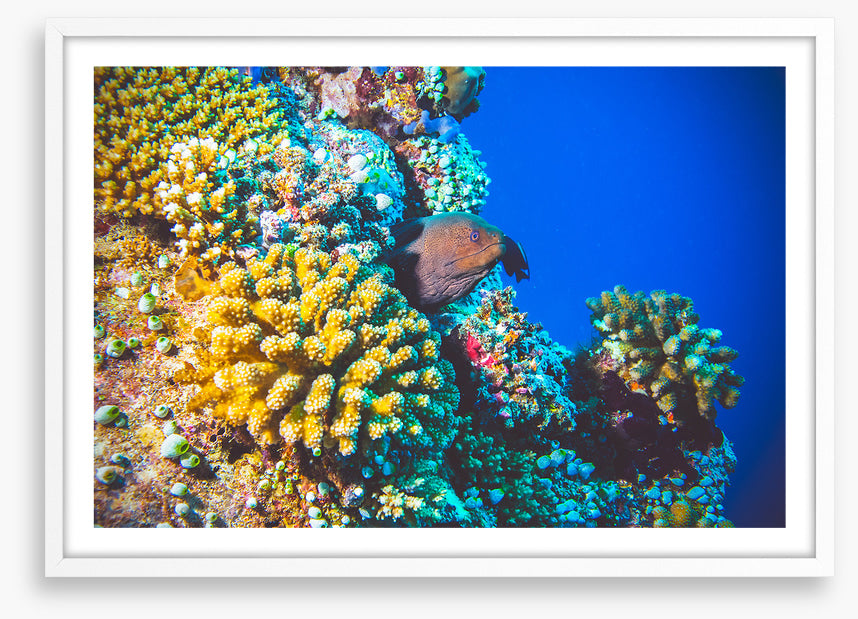 Underwater