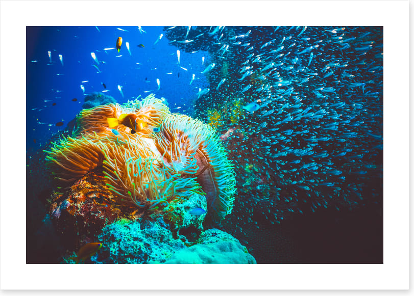Underwater