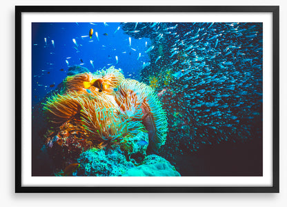 Underwater