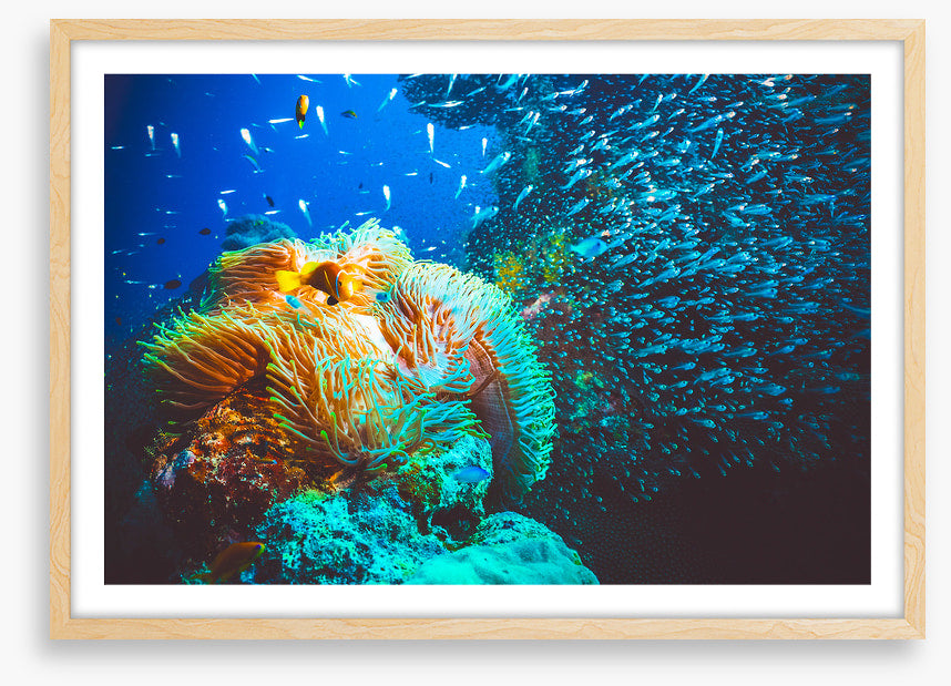 Underwater
