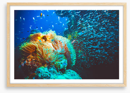 Underwater