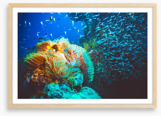 Underwater