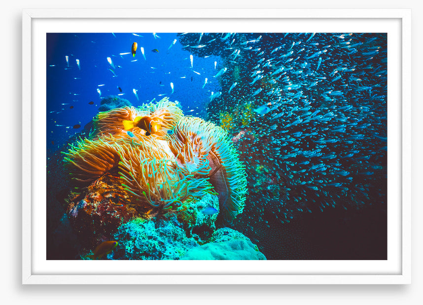 Underwater