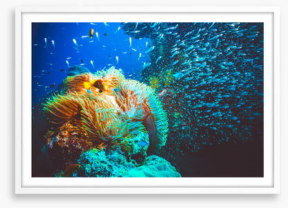 Underwater